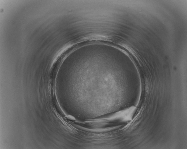 X0000068821115200605121309