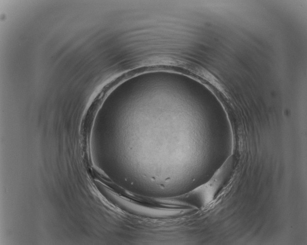 X0000068821116200605121309