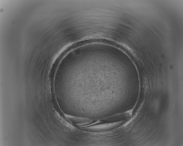 X0000068821118200605121309