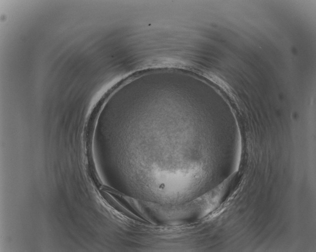 X0000068821120200605121309