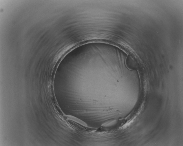 X0000068821121200605121309