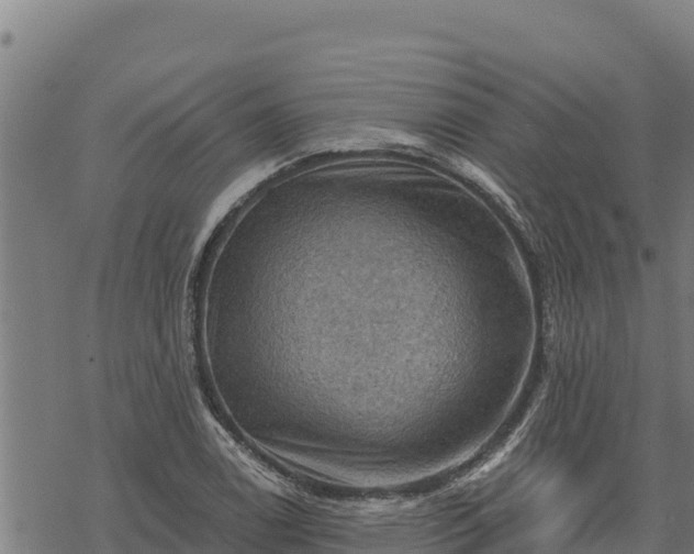 X0000068821122200605121309