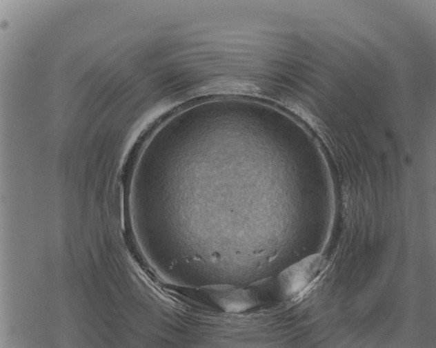 X0000068821123200605121309