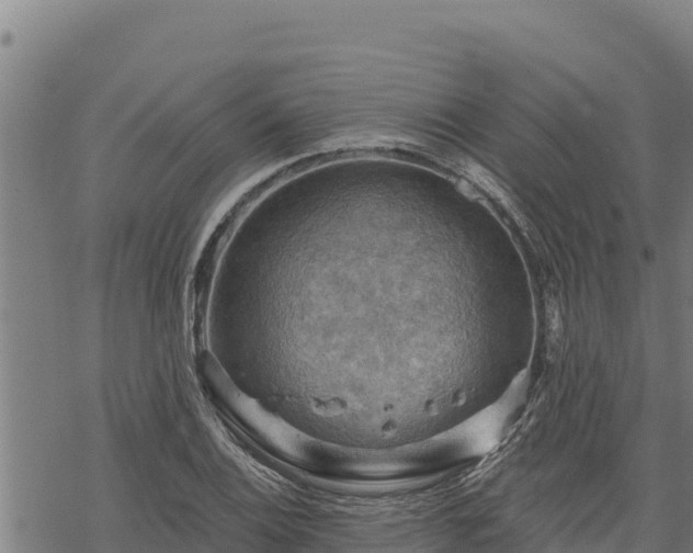 X0000068821124200605121309