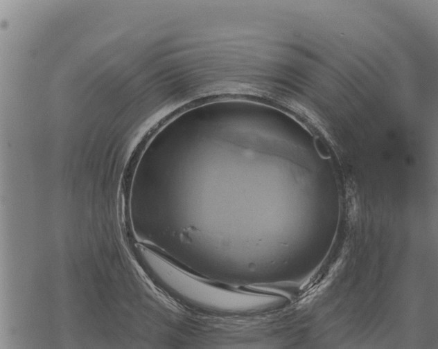 X0000068821125200605121309