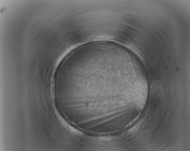 X0000068821126200605121309