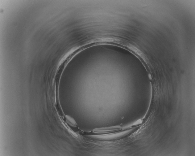 X0000068821127200605121309