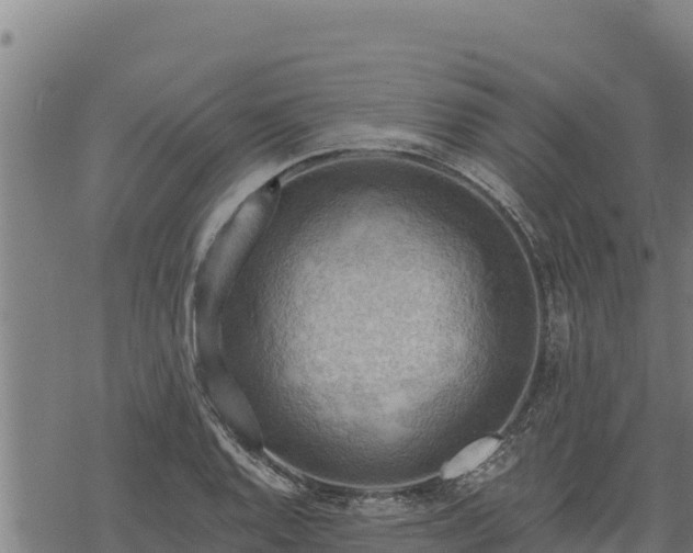 X0000068821128200605121309