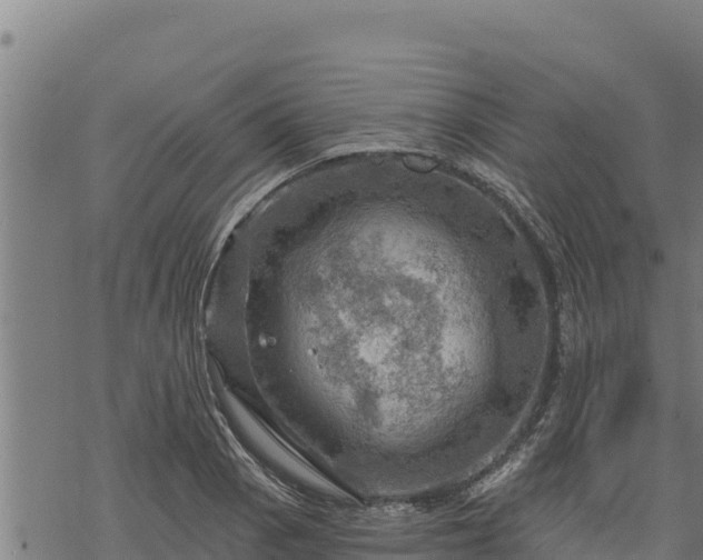 X0000068821129200605121309