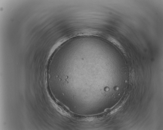 X0000068821130200605121309