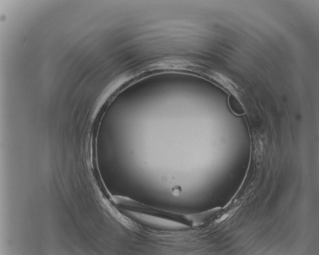 X0000068821131200605121309