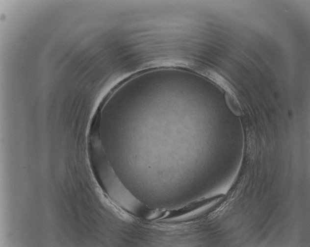 X0000068821132200605121309