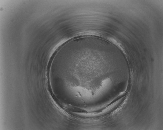 X0000068821133200605121309