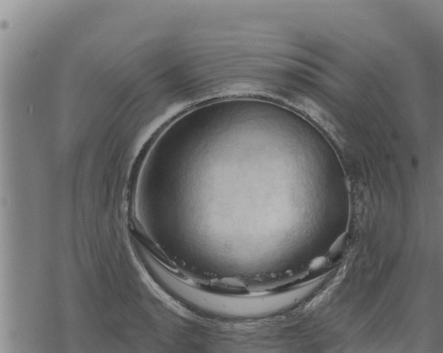 X0000068821134200605121309