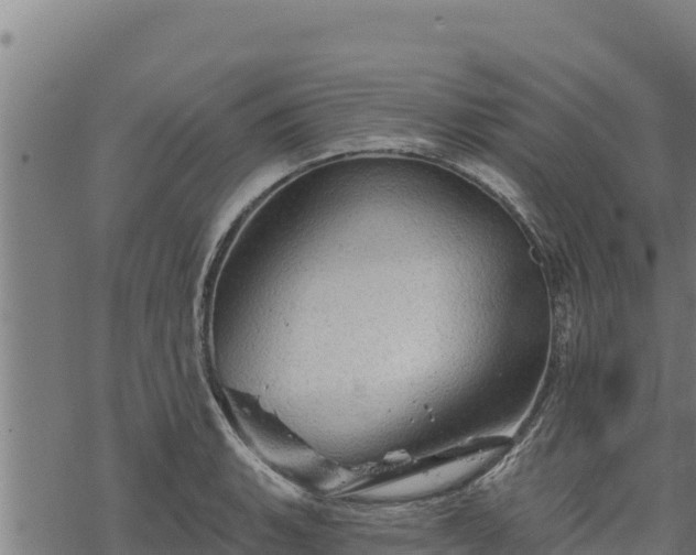 X0000068821135200605121309