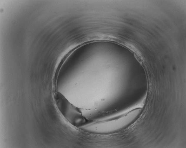 X0000068821136200605121309