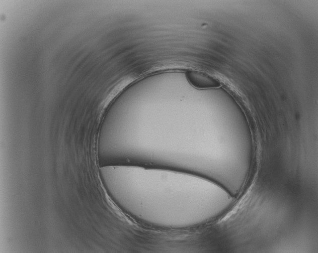 X0000068821137200605121309