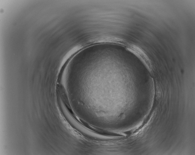 X0000068821138200605121309