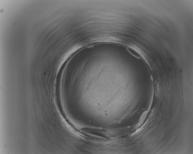 X0000068821139200605121309