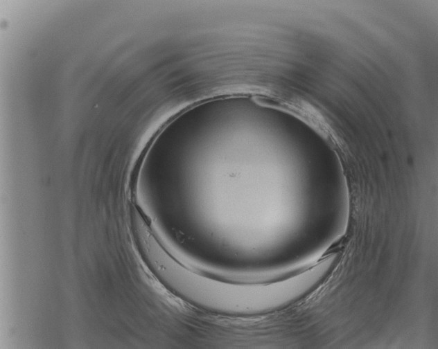 X0000068821140200605121309