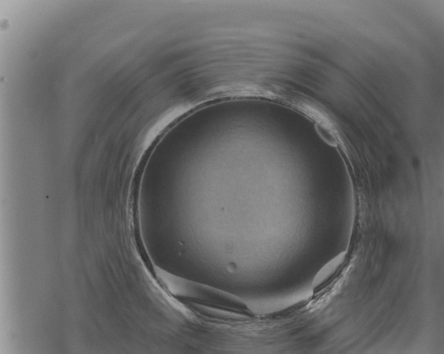 X0000068821141200605121309