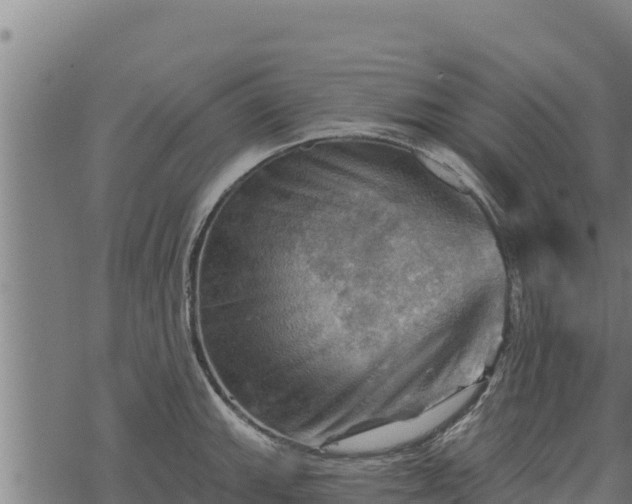 X0000068821143200605121309