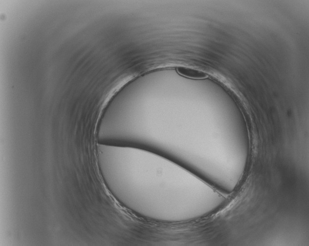 X0000068821145200605121309