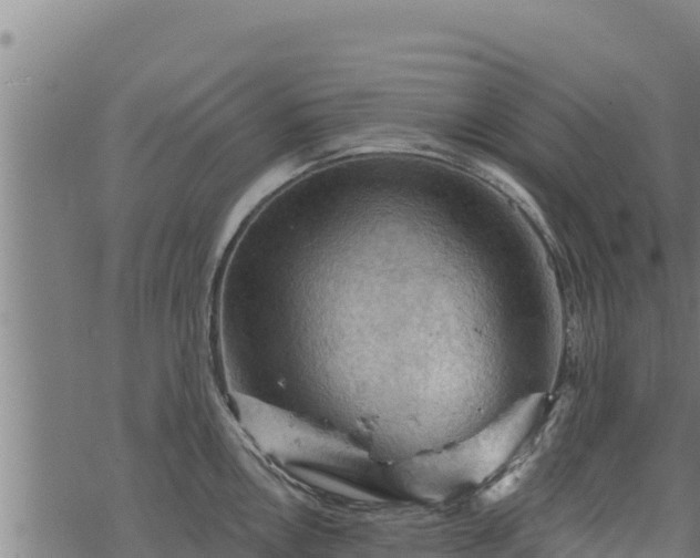 X0000068821146200605121309