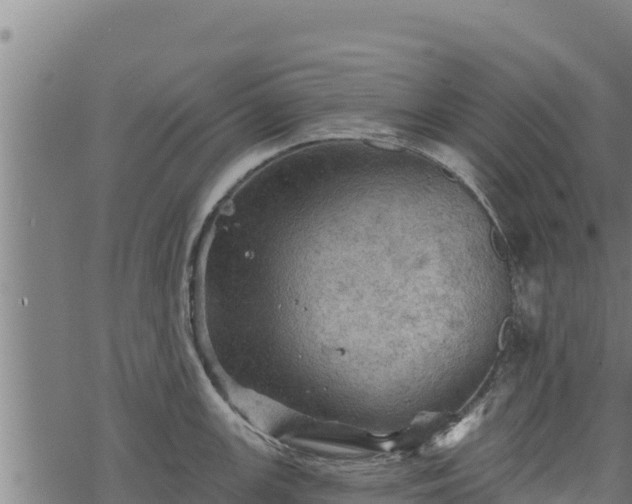 X0000068821147200605121309