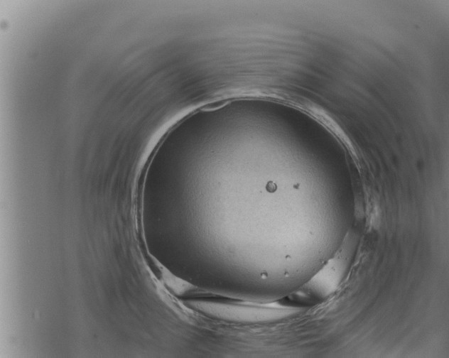 X0000068821148200605121309