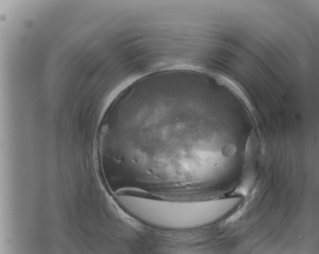 X0000068821149200605121309