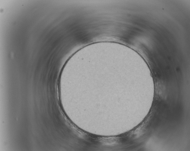 X0000068821150200605121309