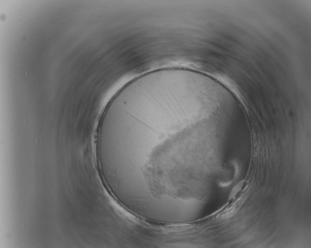 X0000068821151200605121309