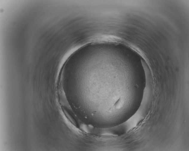 X0000068821152200605121309