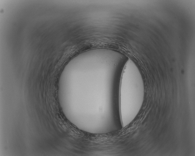 X0000068821153200605121308