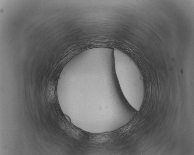 X0000068821154200605121308