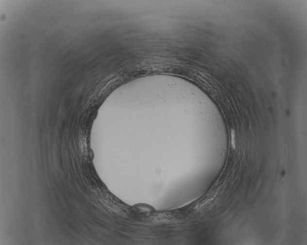 X0000068821155200605121308