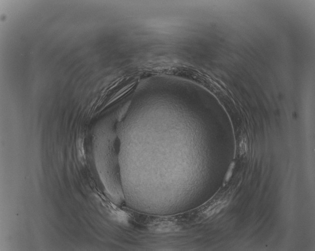 X0000068821156200605121308