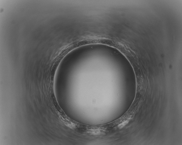 X0000068821157200605121308