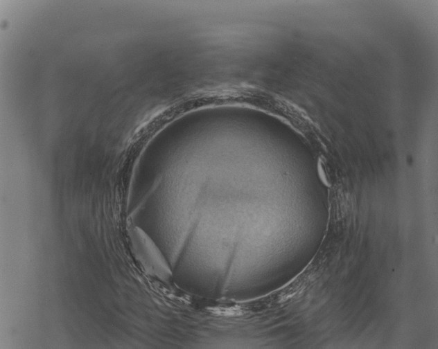 X0000068821158200605121308