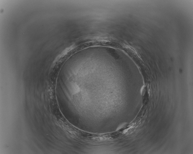 X0000068821159200605121308