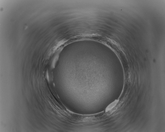 X0000068821161200605121308