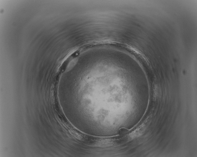 X0000068821162200605121308