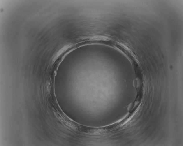 X0000068821163200605121308