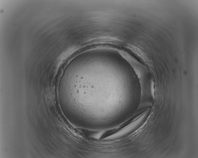 X0000068821164200605121308