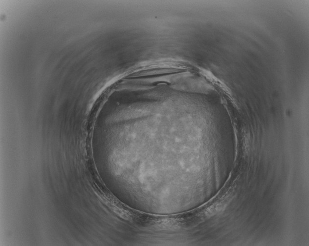 X0000068821166200605121308