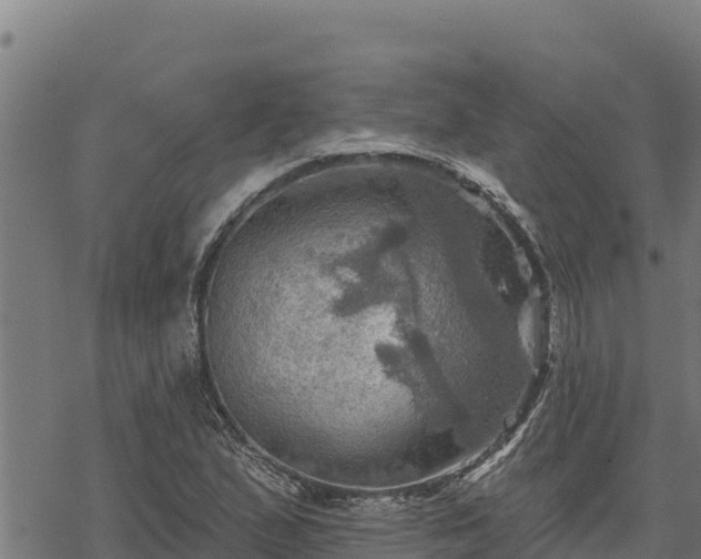 X0000068821167200605121308