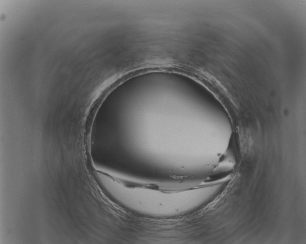 X0000068821168200605121308