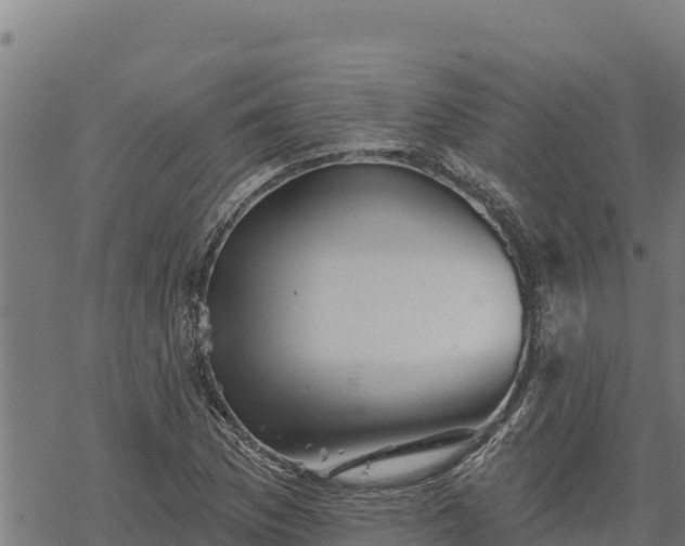 X0000068821169200605121308