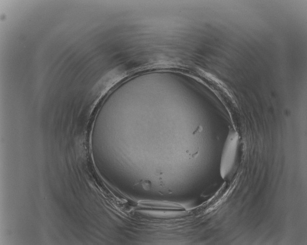 X0000068821170200605121308